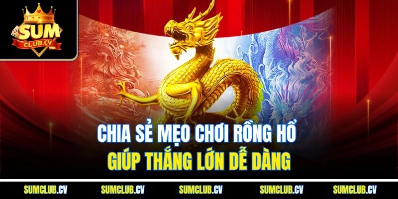 Chia sẻ mẹo chơi Rồng Hổ giúp thắng lớn dễ dàng