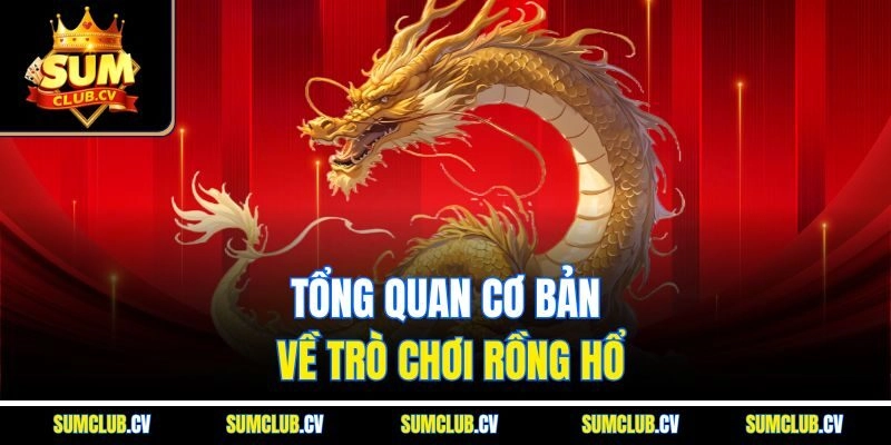 Tổng quan cơ bản về trò chơi Rồng Hổ